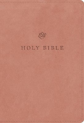 bokomslag ESV Large Print Compact Bible