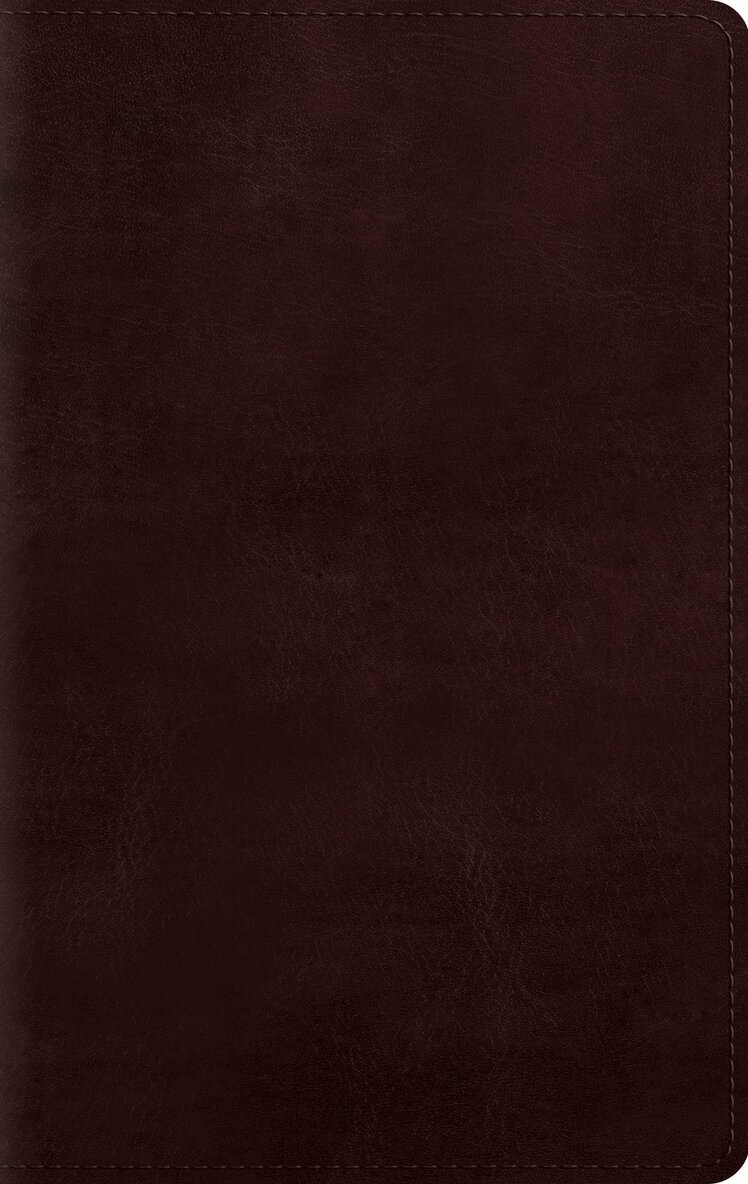 Esv Bibles - ESV Giant Print Personal Size Bible, Red Letter, Inbunden. Tillgänglighet: Lägg i varukorg