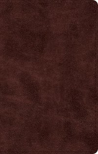 bokomslag ESV Large Print Thinline Bible