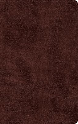 bokomslag ESV Large Print Thinline Bible