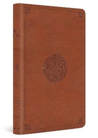 bokomslag ESV Large Print Thinline Bible