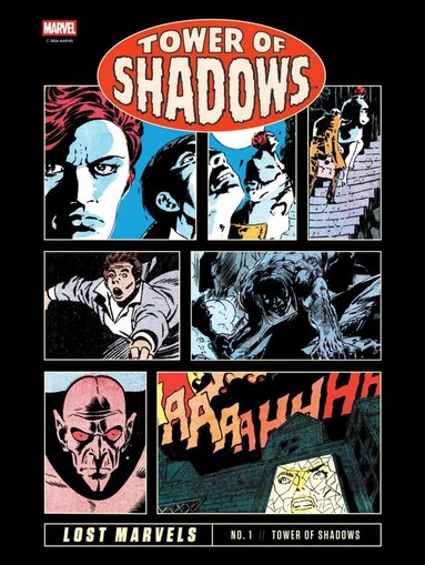 Neal Adams, Jim Steranko, Barry Windsor-Smith - Lost Marvels No. 1, Inbunden