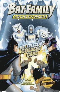 bokomslag Mr. Freeze's Coldest Case