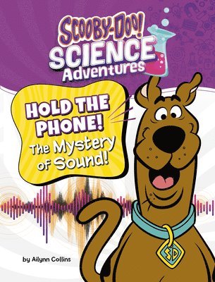 bokomslag Hold the Phone! the Mystery of Sound!