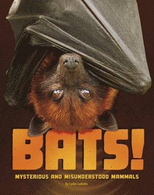 bokomslag Bats!