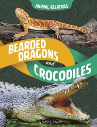 bokomslag Schwartz, H: Bearded Dragons and Crocodiles