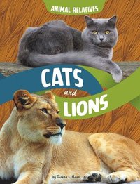 bokomslag Cats and Lions