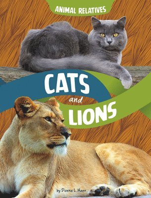 bokomslag Cats and Lions: Feline Relatives