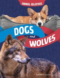 bokomslag Dogs and Wolves