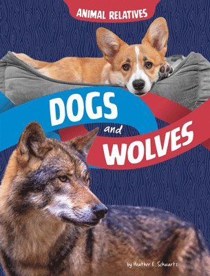 Dogs and Wolves 1
