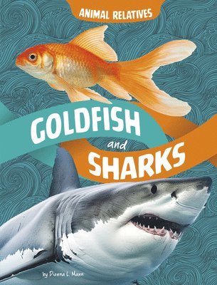 Goldfish and Sharks: Fish Relatives 1