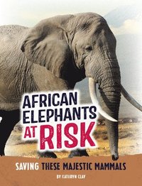 bokomslag African Elephants at Risk