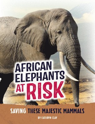 bokomslag African Elephants at Risk