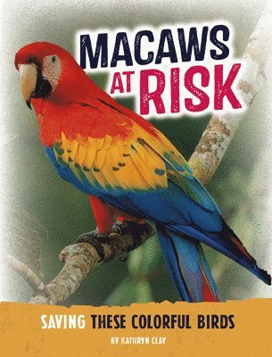 Macaws at Risk 1