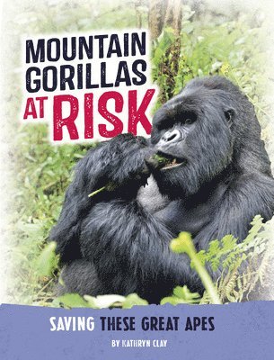 Mountain Gorillas at Risk: Saving These Great Apes