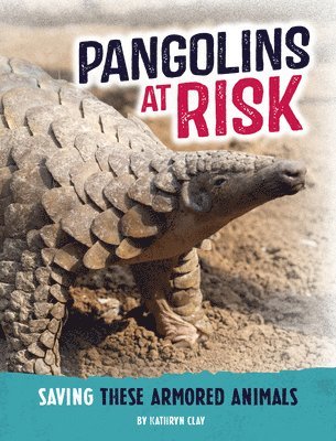 Kathryn Clay - Pangolins at Risk: Saving These Armored Animals, Inbunden