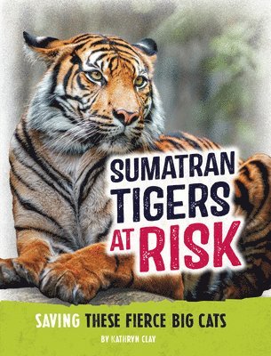 bokomslag Sumatran Tigers at Risk