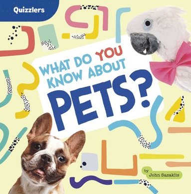 bokomslag What Do You Know about Pets?