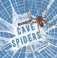 bokomslag Cave Spiders