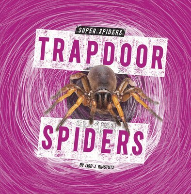 Trapdoor Spiders 1