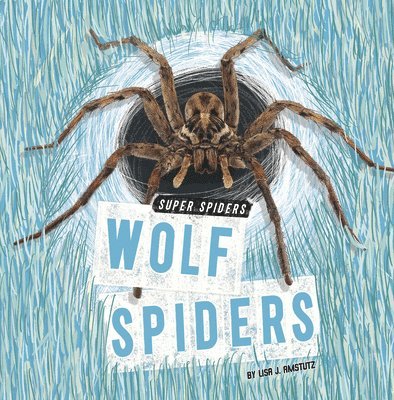 Wolf Spiders 1