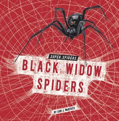 bokomslag Black Widow Spiders