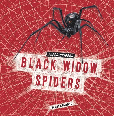 Black Widow Spiders 1