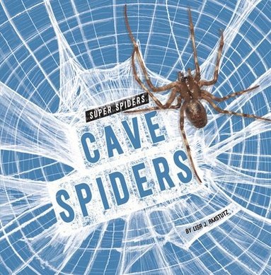 bokomslag Cave Spiders