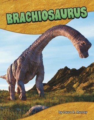 bokomslag Brachiosaurus