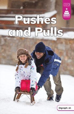 bokomslag Stickney, L: Pushes and Pulls