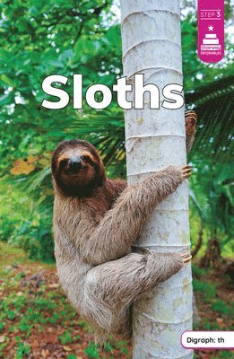 bokomslag Sloths