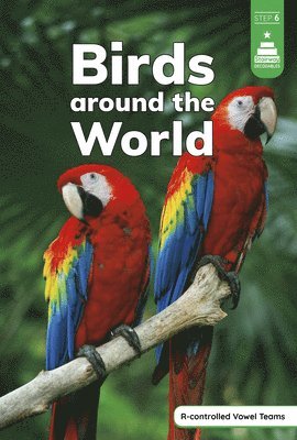 bokomslag Birds Around the World