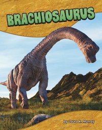 bokomslag Brachiosaurus