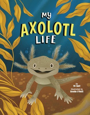 My Axolotl Life