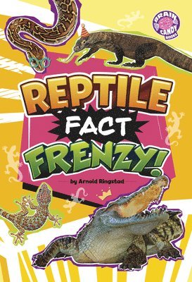 bokomslag Reptile Fact Frenzy!