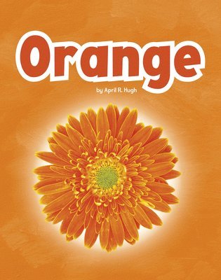 bokomslag Orange