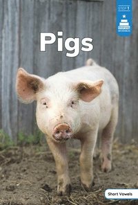 bokomslag Pigs