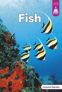 bokomslag Fish