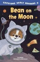 Bean on the Moon
