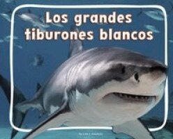 Los Grandes Tiburones Blancos