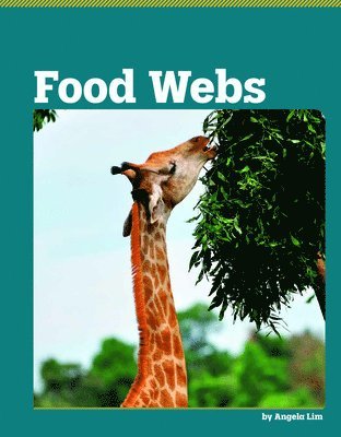 Food Webs