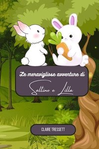 bokomslag Tressett, C: Meravigliose avventure di Saltino e Lilla