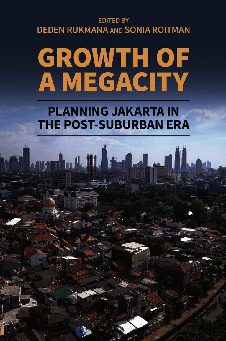 Growth of a Megacity