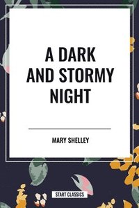 bokomslag A Dark and Stormy Night