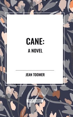 bokomslag Cane A Novel