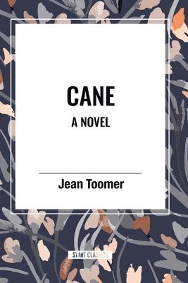 bokomslag Cane A Novel