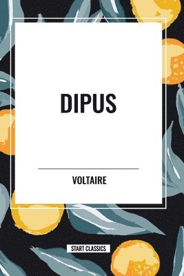 Dipus 1