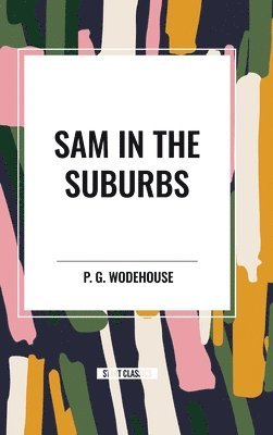 bokomslag Sam in the Suburbs