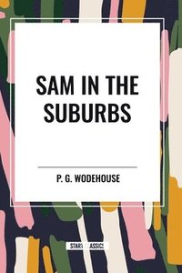 bokomslag Sam in the Suburbs