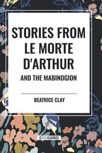 bokomslag Stories from Le Morte D'arthur and the Mabinogion